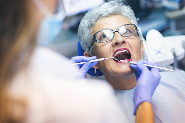 Trusted New Baltimore, MI Dental Services Experts